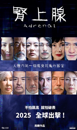 腎上腺 母侵